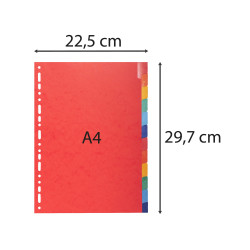 Intercalaires Carte lustrée 225g avec onglets renforcés - 12 positions - A4
