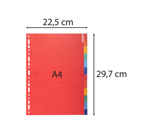 Intercalaires Carte lustrée 225g avec onglets renforcés - 12 positions - A4