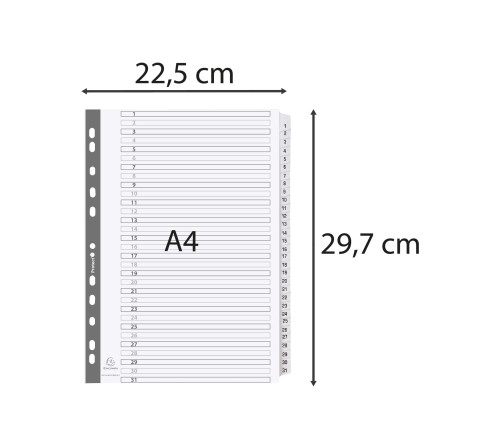 Intercalaires imprimés à touches plastifiées - 31 touches 1 à 31 - A4
