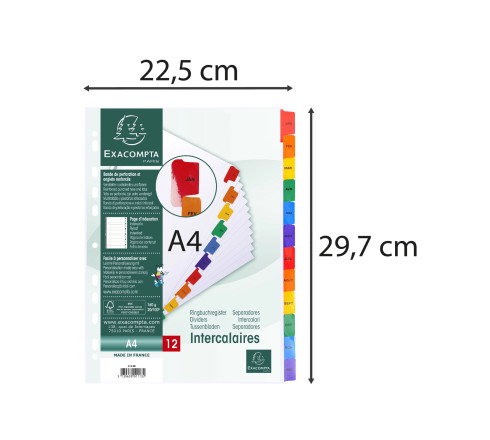 Intercalaires Imprimés mensuels carte blanche 160g - 12 positions - A4