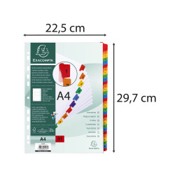 Intercalaires Imprimés numériques carte blanche 160g/renforts couleurs + page de garde - 31 positions - A4