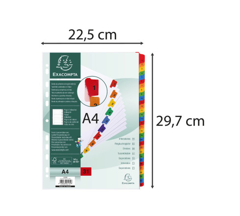 Intercalaires Imprimés numériques carte blanche 160g/renforts couleurs + page de garde - 31 positions - A4
