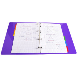 Intercalaires carte blanche 160g avec onglets couleurs renforcés - 6 positions - A4