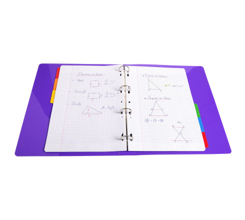 Intercalaires carte blanche 160g avec onglets couleurs renforcés - 6 positions - A4