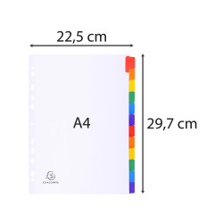 Intercalaires carte blanche 160g avec onglets couleurs renforcés - 12 positions - A4