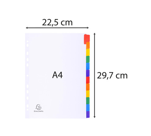 Intercalaires carte blanche 160g avec onglets couleurs renforcés - 12 positions - A4