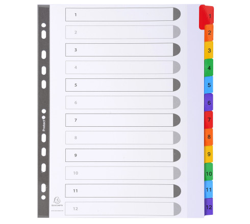 Intercalaires Imprimés numériques carte blanche 160g- 12 positions - A4 Maxi
