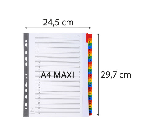 Intercalaires Imprimés numériques carte blanche 160g- 31 positions - A4 Maxi