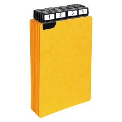 Paquet de 24 guides alphabétiques en carte à onglets métalliques, pour fiches 210x148mm
