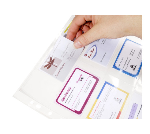 Sachet de 10 pochettes perforées pour cartes de visite 10 emplacements - polypropylène lisse 11/100e - A4