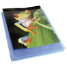 Protège-documents en polypropylène semi rigide Kreacover® Chromaline 120 vues - A4