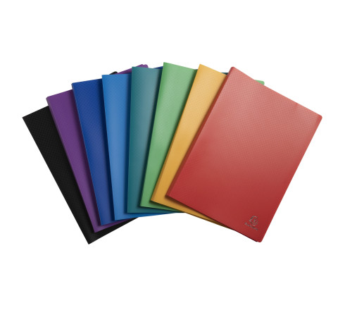 Protège-documents en polypropylène souple OPAK 60 vues - A4