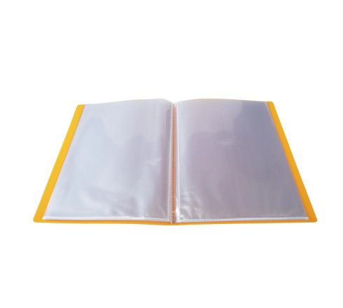 Protège-documents en polypropylène Linicolor 60 vues - A4