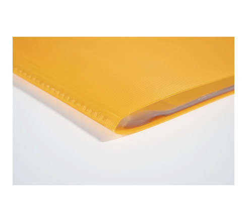 Protège-documents en polypropylène Linicolor 60 vues - A4