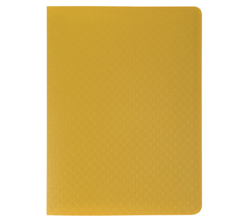 Protège-documents en polypropylène semi-rigide OPAK 40 vues - Pocket 11x15cm