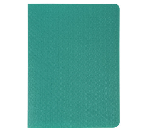 Protège-documents en polypropylène semi-rigide OPAK 40 vues - Pocket 11x15cm