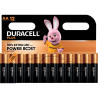 Blister 12 piles 1.5V PLUS POWERBOOST AA / LR06 / MN1500