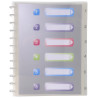 Protège-documents amovibles à anneaux polypropylène Crystal 60 vues - A4