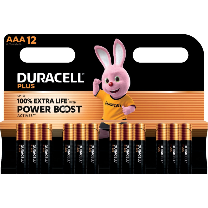 Blister 12 piles 1.5V PLUS POWERBOOST AAA / LR03 / MN2400