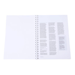 Boite 100 reliures spirales plastique 12mm