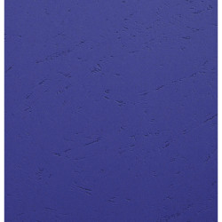 Paquet de 100 couvertures Grain cuir pour reliure A4