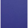 Paquet de 100 couvertures Grain cuir pour reliure A4
