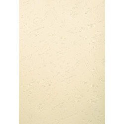 PAQUET DE 100 COUVERTURES GRAIN CUIR POUR RELIURE A3