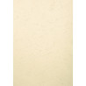 PAQUET DE 100 COUVERTURES GRAIN CUIR POUR RELIURE A3