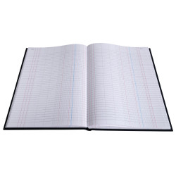 Registre 297X210 Journal 200 pages foliotées