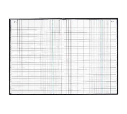Registre 340x225 Journal 300 pages