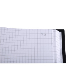 Registre 315X245 Quadrillé 200 pages foliotées