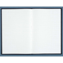 Registre 390X255 Quadrillé 400 pages