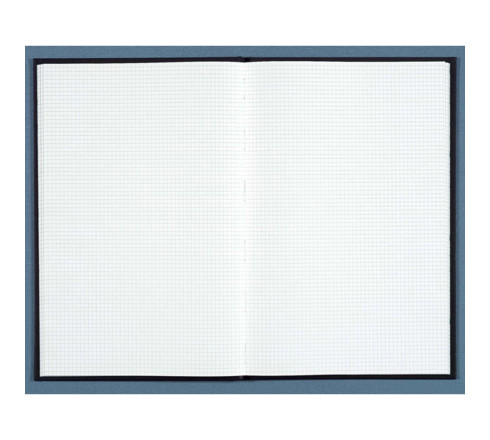 Registre 390X255 Quadrillé 600 pages