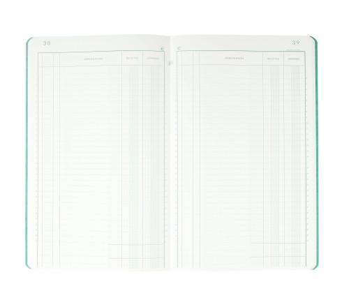Piqûre 32x19,5cm recettes-dépenses 80 pages