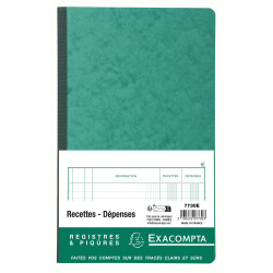 Piqûre 32x19,5cm recettes-dépenses 80 pages