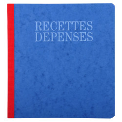 Piqûre 21x19cm recettes-dépenses 80 pages