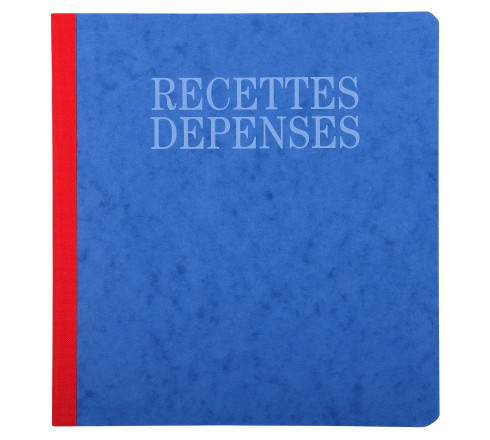 Piqûre 21x19cm recettes-dépenses 80 pages