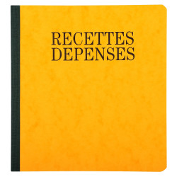Piqûre 21x19cm recettes-dépenses 80 pages