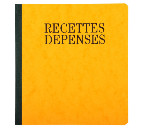 Piqûre 21x19cm recettes-dépenses 80 pages
