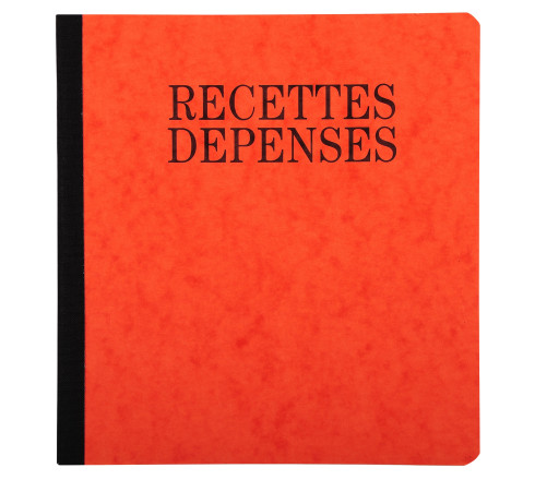 Piqûre 21x19cm recettes-dépenses 80 pages