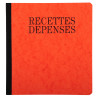 Piqûre 21x19cm recettes-dépenses 80 pages