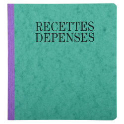 Piqûre 21x19cm recettes-dépenses 80 pages