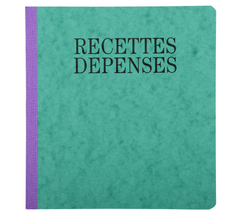 Piqûre 21x19cm recettes-dépenses 80 pages
