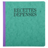 Piqûre 21x19cm recettes-dépenses 80 pages