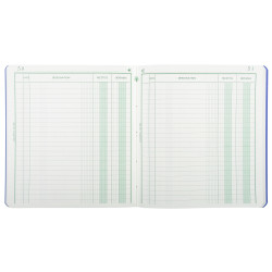 Piqûre 21x19cm recettes-dépenses 80 pages