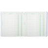 Piqûre 21x19cm recettes-dépenses 80 pages