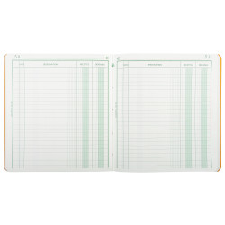Piqûre 21x19cm recettes-dépenses 80 pages