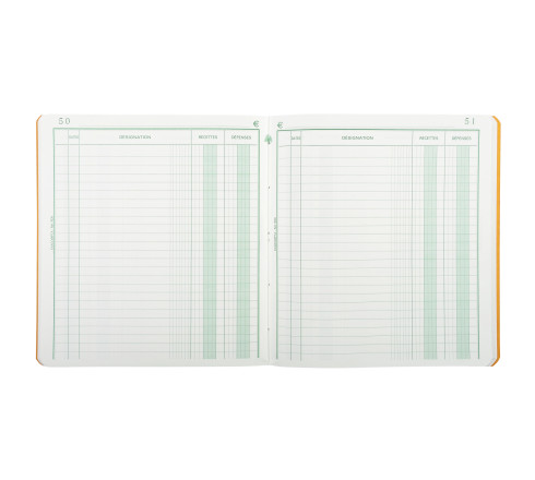 Piqûre 21x19cm recettes-dépenses 80 pages