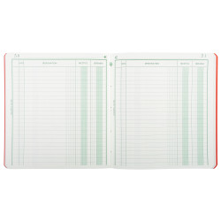 Piqûre 21x19cm recettes-dépenses 80 pages