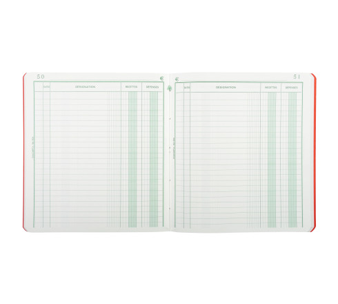 Piqûre 21x19cm recettes-dépenses 80 pages